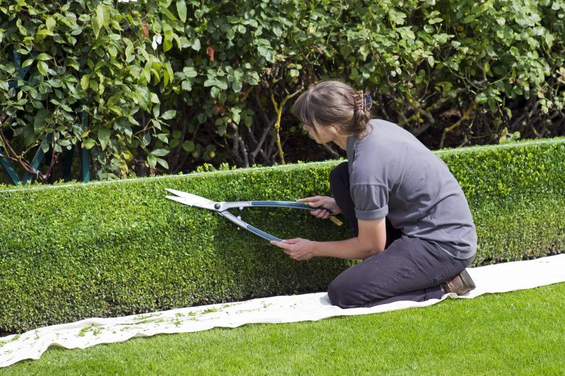 Trimming hedges and cedars